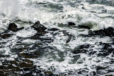 High angle view of waves in sea