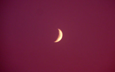 Close-up of moon against clear sky at night