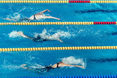 High angle view of people swimming in pool