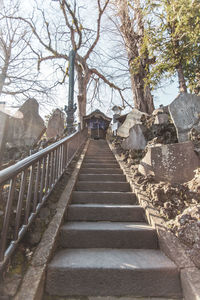 Staircase amidst bare trees and plants