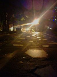 Illuminated trees at sunset