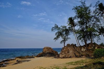 Scenic view of beach against sky