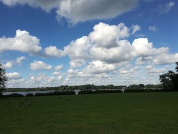 Scenic view of grassy field against sky