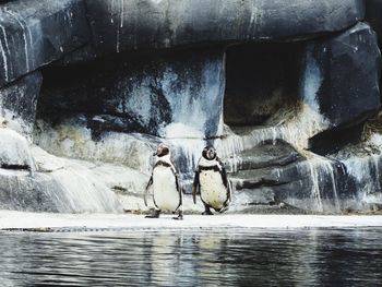 People on rock formation in water