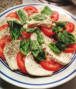 Close-up of food in plate