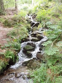 River flowing through rocks