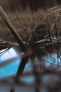 Full frame shot of metal fence