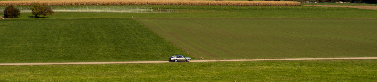 Car speeding on road amidst field