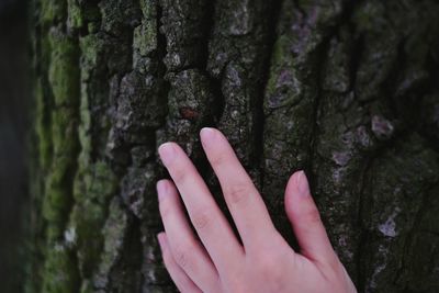 Close-up of cropped hand on tree trunk
