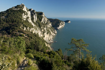 Scenic view of sea against clear sky