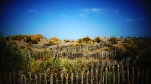 Scenic view of landscape against blue sky