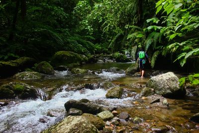 Woman standing on rocks in forest