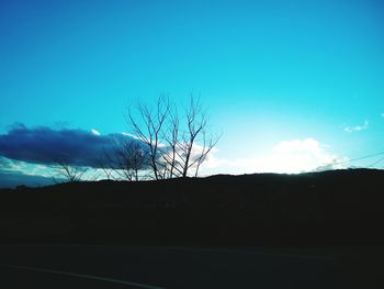 Bare trees on landscape against blue sky