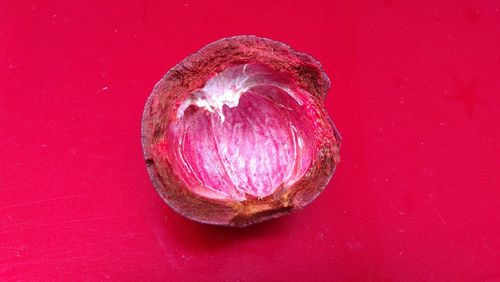 High angle view of apple on table