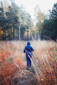 Rear view of man walking in forest