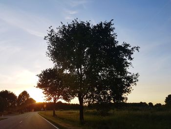 Silhouette tree by road against sky at sunset