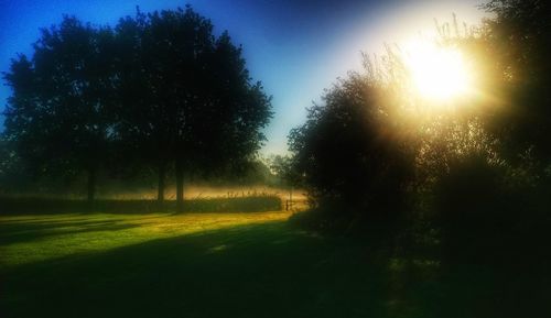 Silhouette trees on field against sky