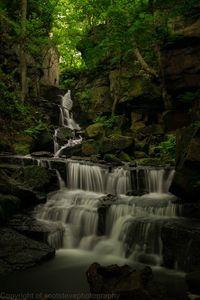 Low angle view of waterfall in forest