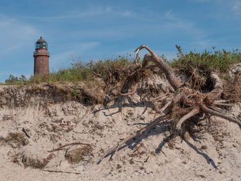 Plants growing on beach against sky