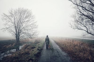 Rear view of man walking on road