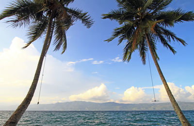 Low angle view of palm tree by sea against sky