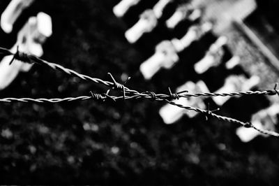 Close-up of barbed wire