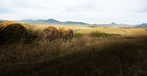 Scenic view of field against sky