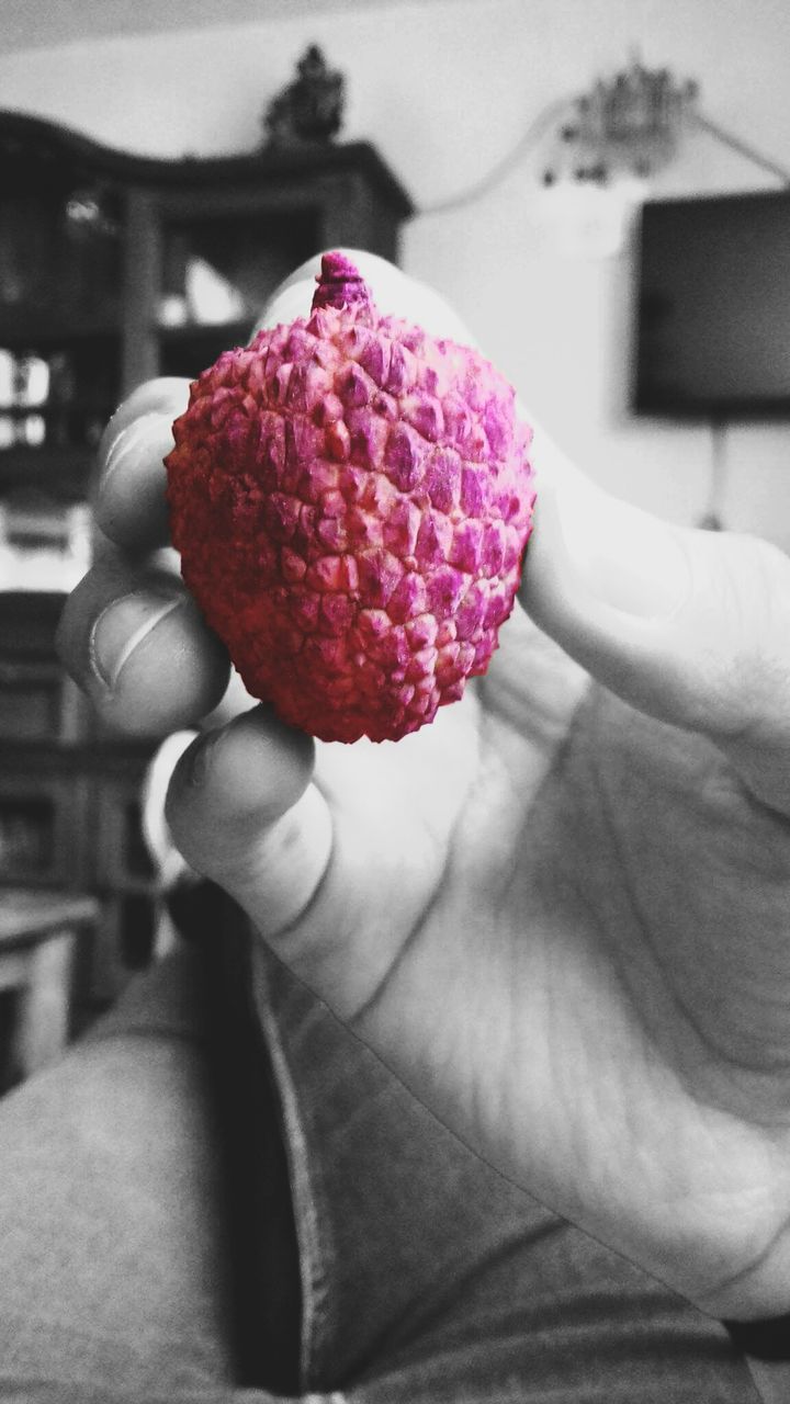 person, holding, focus on foreground, close-up, red, indoors, part of, lifestyles, fruit, cropped, unrecognizable person, food and drink, food, freshness, leisure activity, sweet food