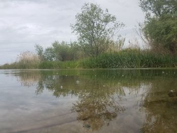 Scenic view of lake against sky