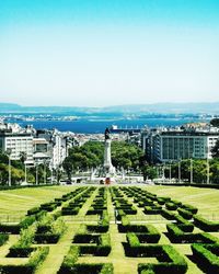 View of garden with buildings in background