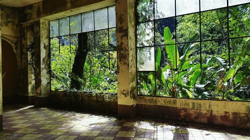 Abandoned building seen through window