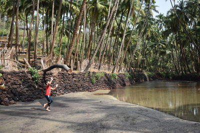 Full length side view of man standing on tree by plants