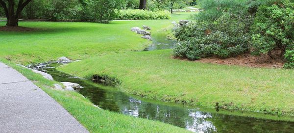 Pond in park