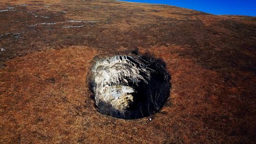 High angle view of animal on rock