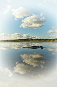 Scenic view of lake against cloudy sky