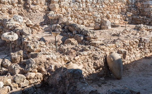 High angle view of sheep on rock