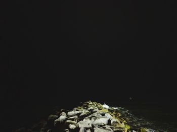 Rocks at beach against clear sky at night