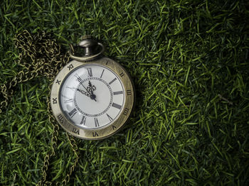 High angle view of clock on plants