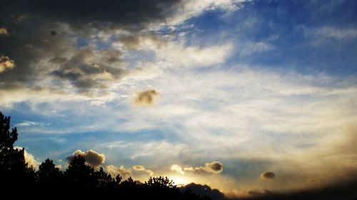 Low angle view of silhouette trees against sky