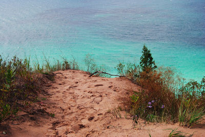 Scenic view of beach against blue sky