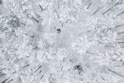 Aerial view of people lying down on snow