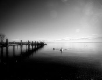 Silhouette person standing in sea against sky