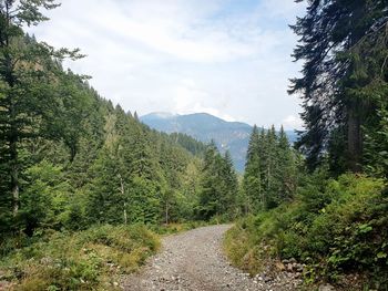 Scenic view of trees and mountains against sky