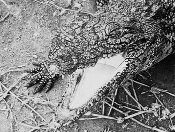High angle view of snow on field