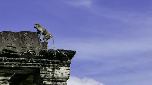 Low angle view of monkey on temple against sky