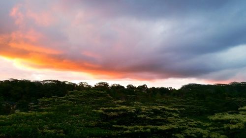 Scenic view of landscape against cloudy sky