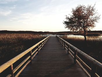 Wooden boardwalk leading towards landscape against sky