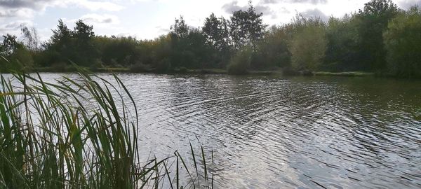 Scenic view of lake against sky