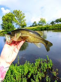 Person holding fish by lake