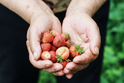 Midsection of man holding strawberries